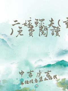 二嫁鳏夫(重生)免费阅读