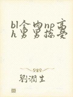 bl全肉np高h男男总受