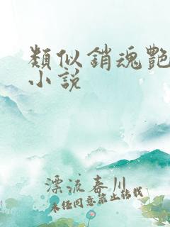 类似销魂艳婢的小说