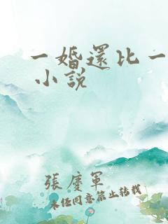 一婚还比一婚高 小说
