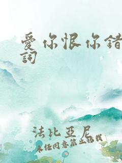 爱你恨你错过歌词