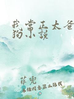 我当正太爸爸的狗小说