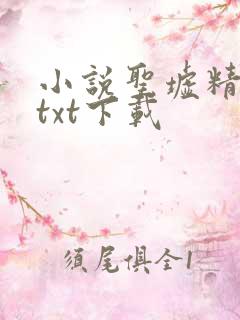 小说圣墟精校版txt下载