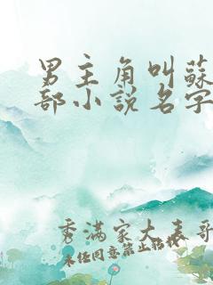 男主角叫苏的全部小说名字