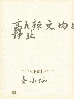 高h辣文肉时间静止