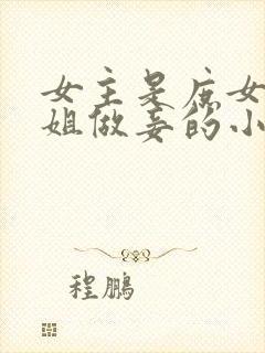 女主是庶女给嫡姐做妾的小说