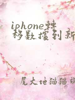 iphone转移数据到新iphone要多久
