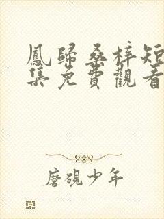 凤归桑梓短剧全集免费观看视频播放