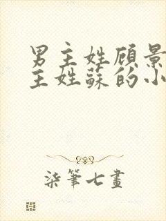 男主姓顾景琛女主姓苏的小说