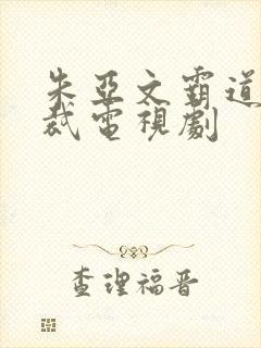 朱亚文霸道女总裁电视剧