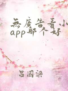 无广告看小说的app哪个好