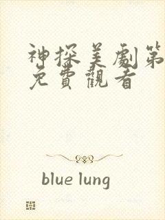 神探美剧第一季免费观看