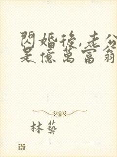 闪婚后,老公竟是亿万富翁()