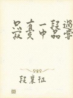 只有一段过往在寂寞中品尝是什么歌