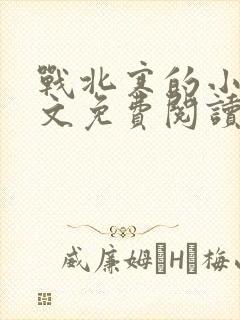 战北寒的小说全文免费阅读无弹窗