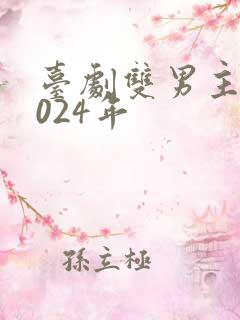台剧双男主剧2024年