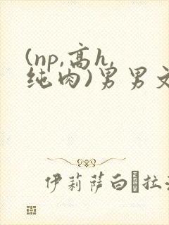 (np,高h,纯肉)男男文