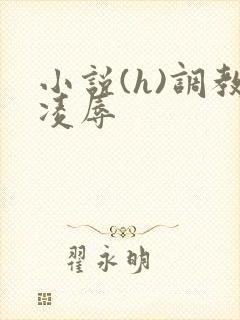 小说(h)调教凌辱