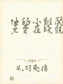 他的小难哄短剧免费在线观看