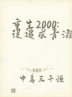 重生2000:从追求青涩校花同桌开始txt