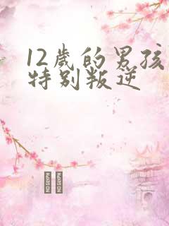 12岁的男孩子特别叛逆