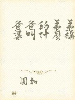 爸爸的弟弟的老婆叫什么称呼