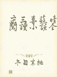 宋三喜苏晴免费阅读小说全文