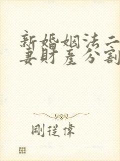 新婚姻法二婚夫妻财产分割