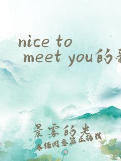 nice to meet you的翻译中文
