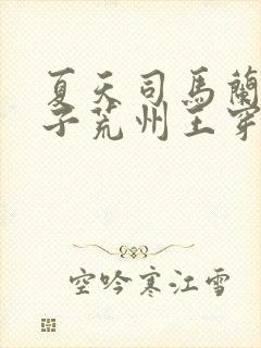 夏天司马兰九皇子荒州王穿越小说