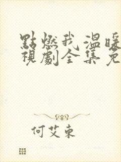 点燃我温暖你电视剧全集免费11