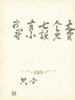 我有七个大佬哥哥小说免费观看