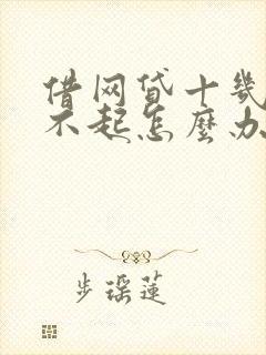 借网贷十几万还不起怎么办