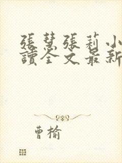 张慧张莉小说阅读全文最新章节