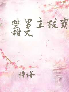 双男主校霸校园甜文