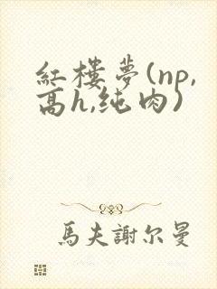 红楼梦(np,高h,纯肉)