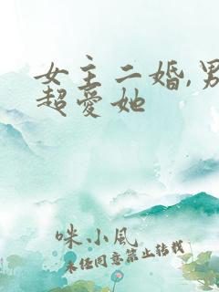 女主二婚,男主超爱她