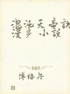 混沌天帝诀随风漫步 小说