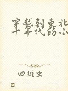 穿越到东北的六十年代的小说