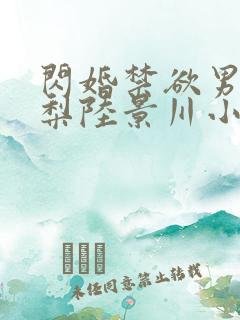 闪婚禁欲男神苏梨陆景川小说