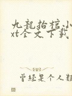 九龙抬棺小说txt全文下载