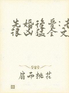 先婚后爱:老公很凶猛全文免费阅读