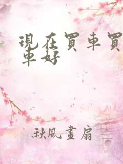 现在买车买什么车好