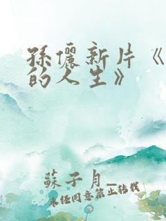 孙俪新片《蛮好的人生》