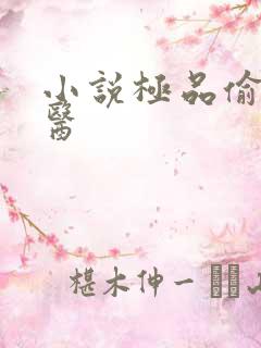 小说极品偷香村医