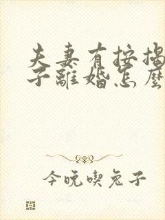 夫妻有按揭的房子离婚怎么过户