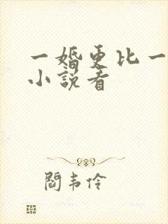 一婚更比一婚高小说看