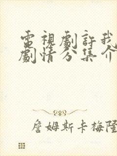 电视剧许我耀眼剧情分集介绍