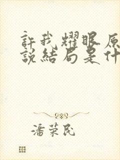 许我耀眼原著小说结局是什么