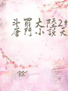 斗罗大陆2绝世唐门小说天域小说